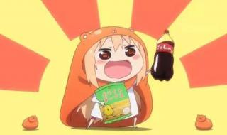 动画生涯个人喜好表 动画生涯个人喜好表